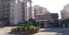4200 Sq.Ft. Luxurious Pent House Available On Rent In Beverly Park, Gurgaon